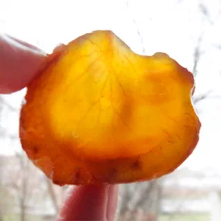 Засахаренные каштаны (Marrons Glacеs)