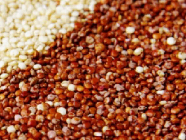 Киноа (Quinoa)