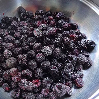 Курица с ежевичным соусом (Chicken with Blackberry Sauce )