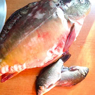 Рождественский чешский рыбный суп (Czech Christmas Fish Soup – Ceska Vanocni Rybi Polevka)