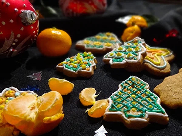 Рождественское печенье (Christmas Cookie)