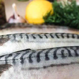 Скумбрия с укропом и жареными каперсами (Mackerel with Dill and Fried Capers)