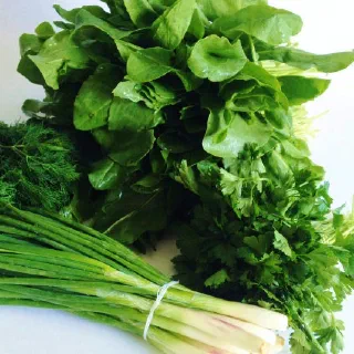 Зеленый борщ со щавелем (Green Borscht with Sorrel)