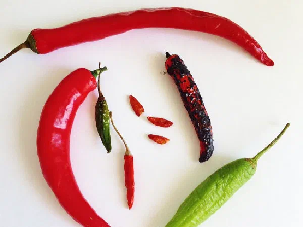 Шкала жгучести Сковилла (Wilbur Lincoln Scoville)