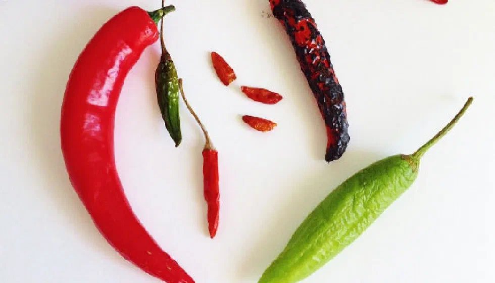 Шкала жгучести Сковилла (Wilbur Lincoln Scoville)
